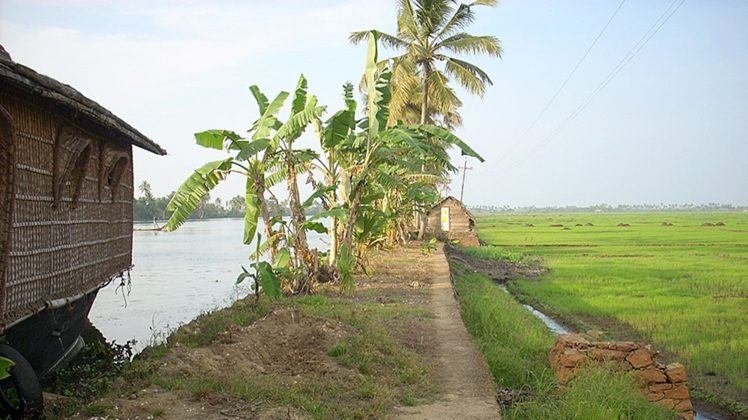 Kuttanad
